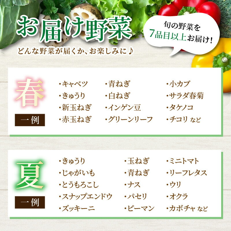 【ふるさと納税】【12ヶ月連続お届け】農家直送 旬の野菜セット 7品目以上 1箱 ／ 定期便 12回 季節 野菜 ボックス BOX セット セレクト 農家 おまかせ 多品目 旬 詰め合わせ 根菜 葉物 - 画像3