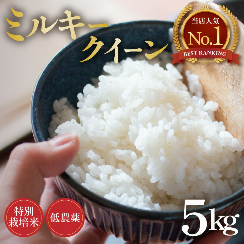 【先行予約】【令和8年産 新米】ミルキークイーン 5kg 精米 特別栽培米 低農薬 《食味値85点以上！こだわり精米》 / 福井県 あわら市 北陸 米 お米 人気 白米 精米 ※2026年9月上旬より順次発送