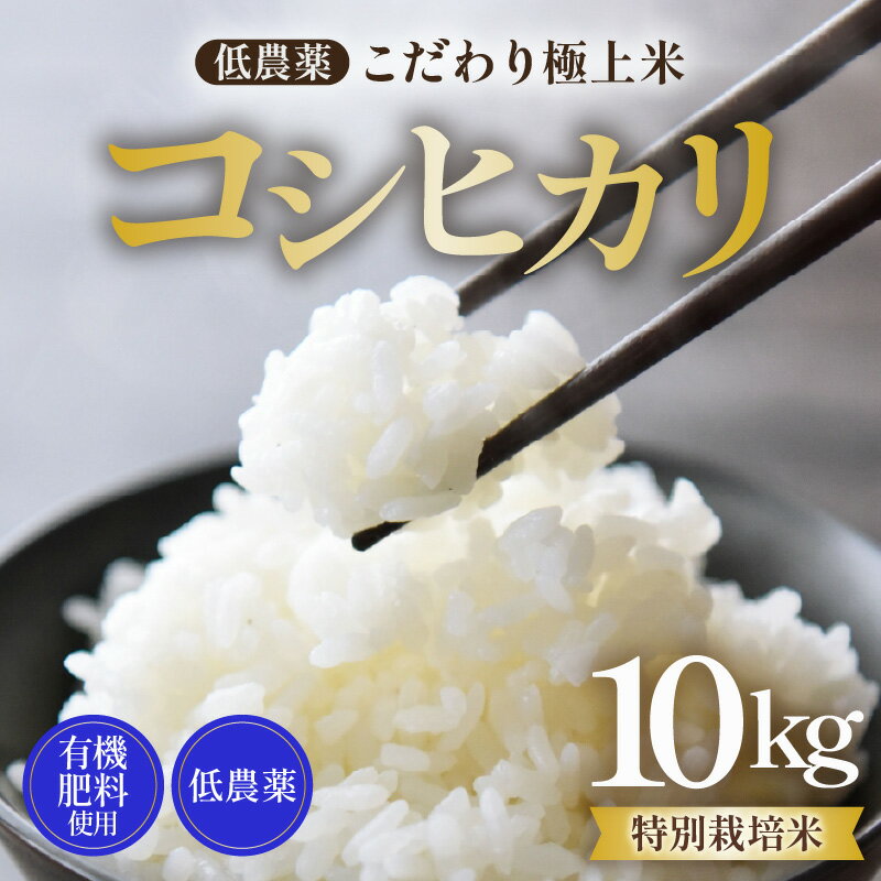【ふるさと納税】【先行予約】【令和8年産 新米】特別栽培米 コシヒカリ 10kg 低農薬 《食味値85点以上！こだわり極上米》 / 福井県 あわら 北陸 米 お米 人気 高品質 鮮度抜群 新米 ※2026年9月上旬より順次発送 - 画像2