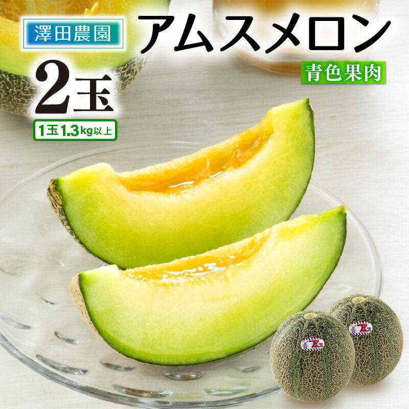 【先行予約】アムスメロン（1.3kg以上 2玉入) とろけるような果肉が絶品！／ 期間限定 数量限定 果物 フルーツ 青肉 産地直送 ※2026年7月上旬より順次発送