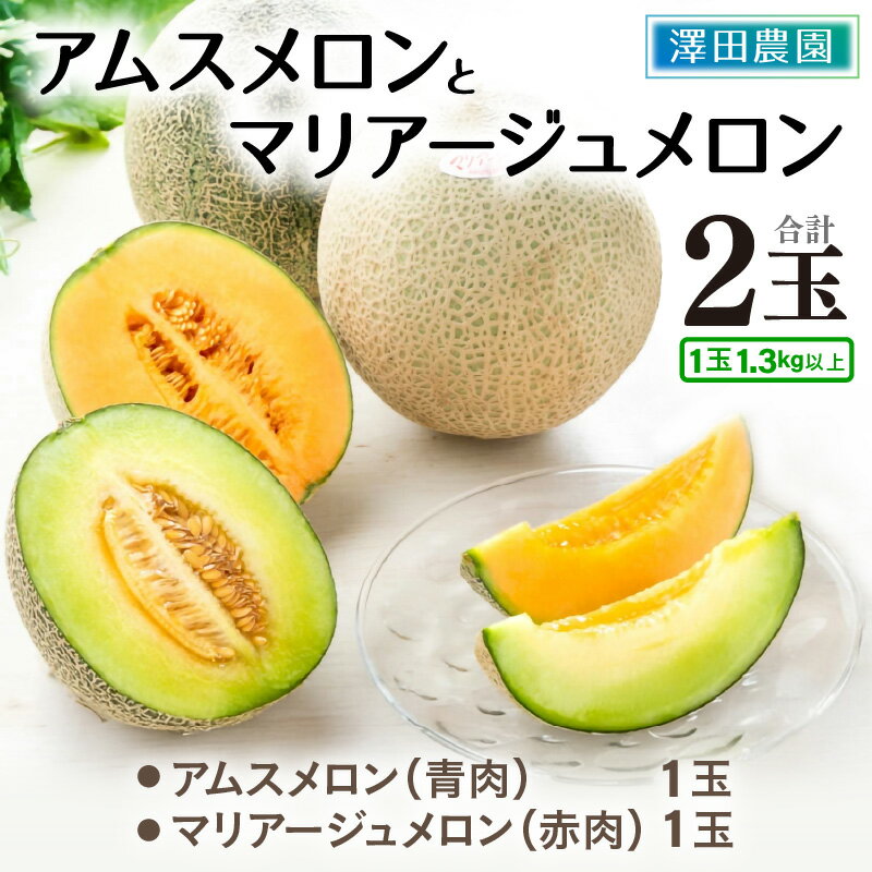 【ふるさと納税】【先行予約】アムス・マリアージュメロン 2種（1.3kg以上 2玉入）農園1番のおすすめ！ ／ 期間限定 数量限定 果物 フルーツ 青肉 赤肉 産地直送 ※2026年7月上旬より順次発送 サムネイル2