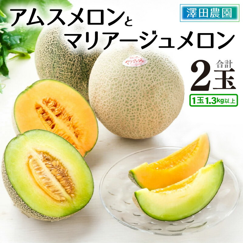 【先行予約】アムス・マリアージュメロン 2種（1.3kg以上 2玉入）農園1番のおすすめ！ ／ 期間限定 数量限定 果物 フルーツ 青肉 赤肉 産地直送 ※2026年7月上旬より順次発送