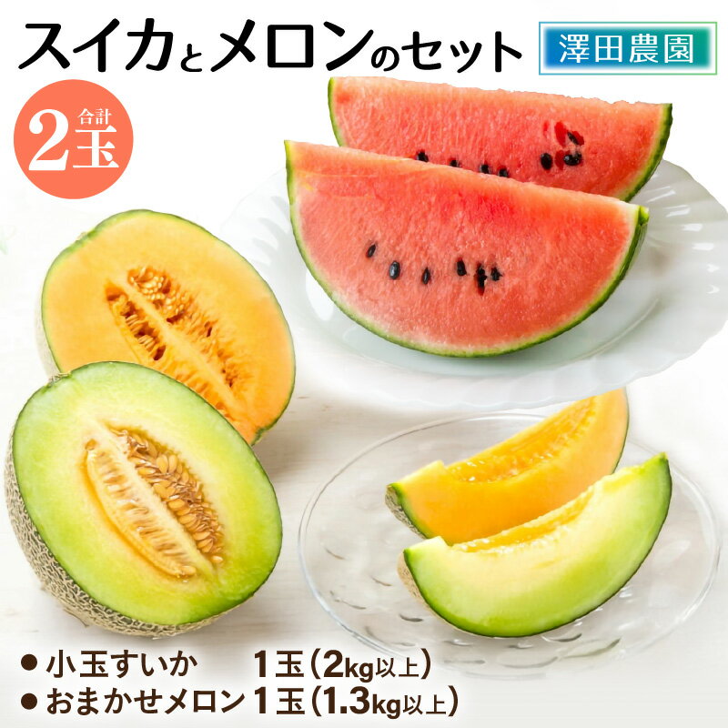 【先行予約】日を分けて2度楽しめる！小玉すいか・おすすめメロン 2種セット(2玉入) ／ 期間限定 数量限定 果物 フルーツ 西瓜 スイカ 産地直送 ※2026年6月下旬より順次発送