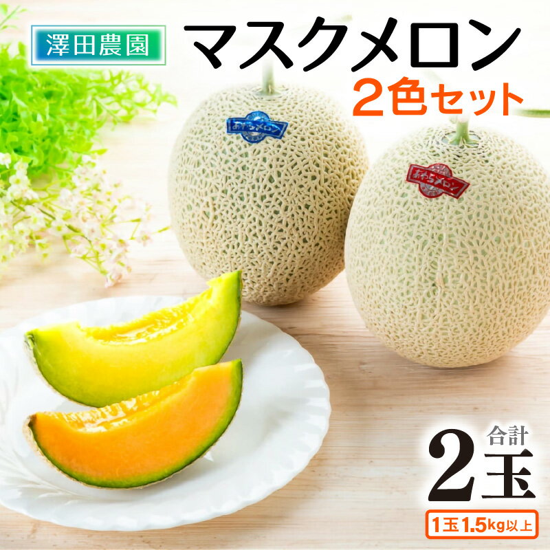 【先行予約】マスクメロン 青肉/赤肉 2色セット（1.5kg以上 2玉入）食べ比べお楽しみ！アールスメロン ／ 期間限定 数量限定 果物 フルーツ 産地直送 ※2026年7月上旬より順次発送