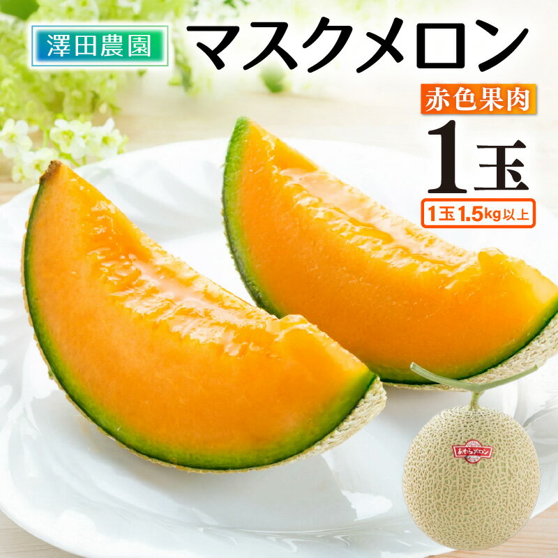 【先行予約】赤肉マスクメロン（1.5kg以上 1玉入）味も見た目も抜群！アールスメロン ／ 期間限定 数量限定 果物 フルーツ 産地直送 ※2026年7月上旬より順次発送