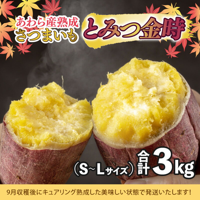 【ふるさと納税】【先行予約】さつまいも とみつ金時 3kg（S～Lサイズ）あわら産 熟成 ／ 焼き芋 スイートポテト 農家直送 期間限定 野菜 常備 薩摩芋 根菜【2025年12月中旬以降順次発送予定】 サムネイル2