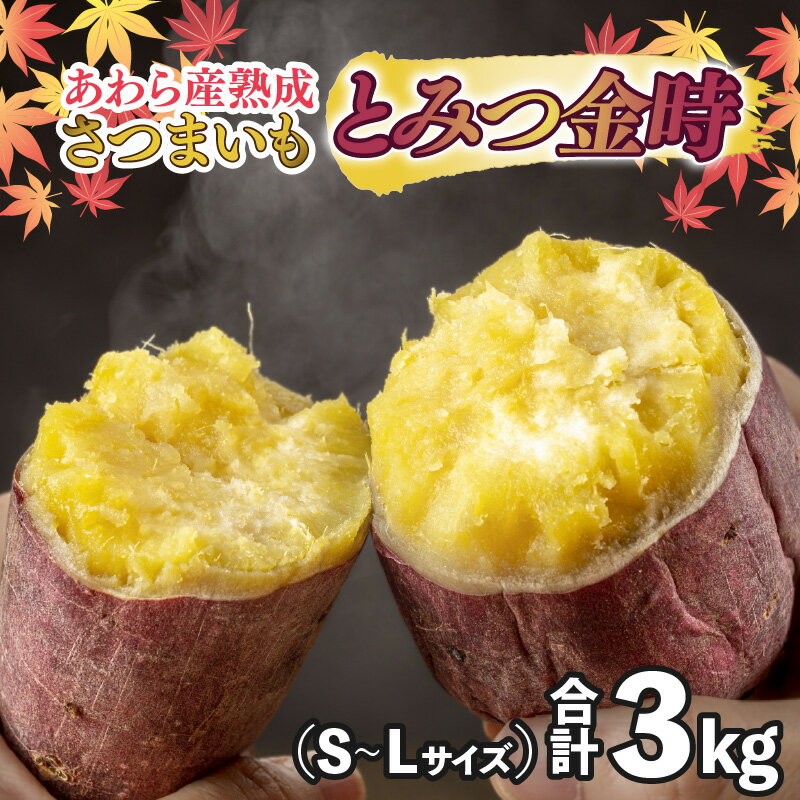 【先行予約】さつまいも とみつ金時 3kg（S～Lサイズ）あわら産 熟成 ／ 焼き芋 スイートポテト 農家直送 期間限定 野菜 常備 薩摩芋 根菜【2025年9月上旬以降順次発送予定】