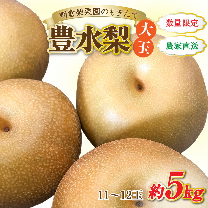 【先行予約】《数量限定》豊水梨【大玉】11～12玉入 約5kg もぎたて 新鮮 ／ 期間限定 果物 フルーツ 農家直送 お取り寄せ 豊水 梨 なし 福井県 あわら市 ※2026年9月上旬より順次発送予定
