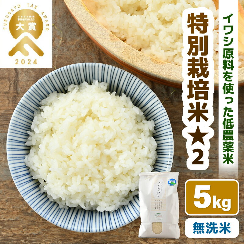 【ふるさと納税】【令和7年産】 米 無洗米 5kg 特別栽培米 コシヒカリ 無洗米 5kg 低農薬 / 5キロ 北陸 福井県産 あわら市 ブランド米 白米 お米 コメ 特栽米 - 画像2