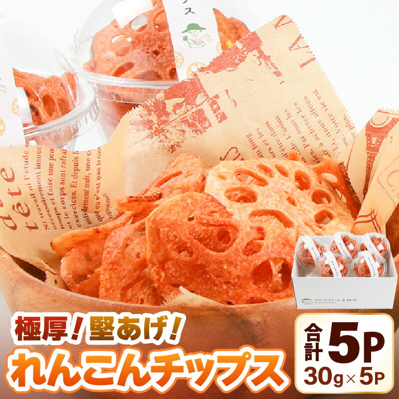 【先行予約】【極厚】堅あげ！れんこんチップス 5カップ ／ 腸活 お菓子 チップス れんこん 小分け おすすめ サクサク ※2025年11月上旬以降順次発送予定