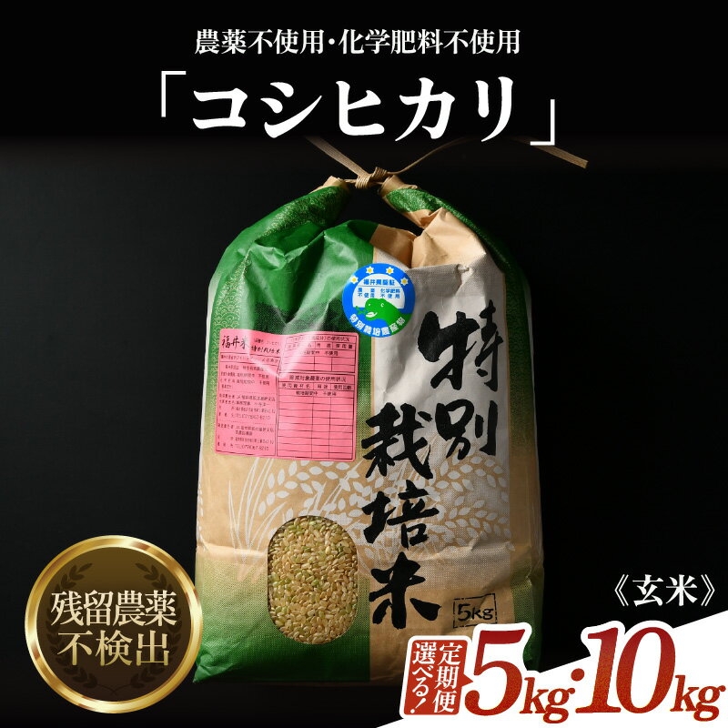 【ふるさと納税】【先行予約】【令和8年産 新米】コシヒカリ 玄米 5kg 10kg 定期便 3回 6回 12回 特別栽培米 農薬不使用 化学肥料不使用 ／ 米 お米 5キロ 10キロ 高品質 鮮度抜群 福井県産 ブランド米 ※2026年9月下旬より順次発送予定 - 画像2