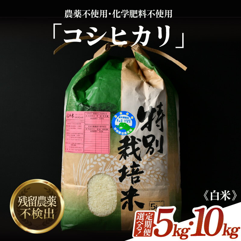 【ふるさと納税】【先行予約】【令和8年産 新米】コシヒカリ 精米 5kg 10kg 定期便 3回 6回 12回 特別栽培米 農薬不使用 化学肥料不使用 ／ 米 お米 5キロ 10キロ 高品質 鮮度抜群 福井県産 ブランド米 白米 ※2026年9月下旬より順次発送予定 - 画像2
