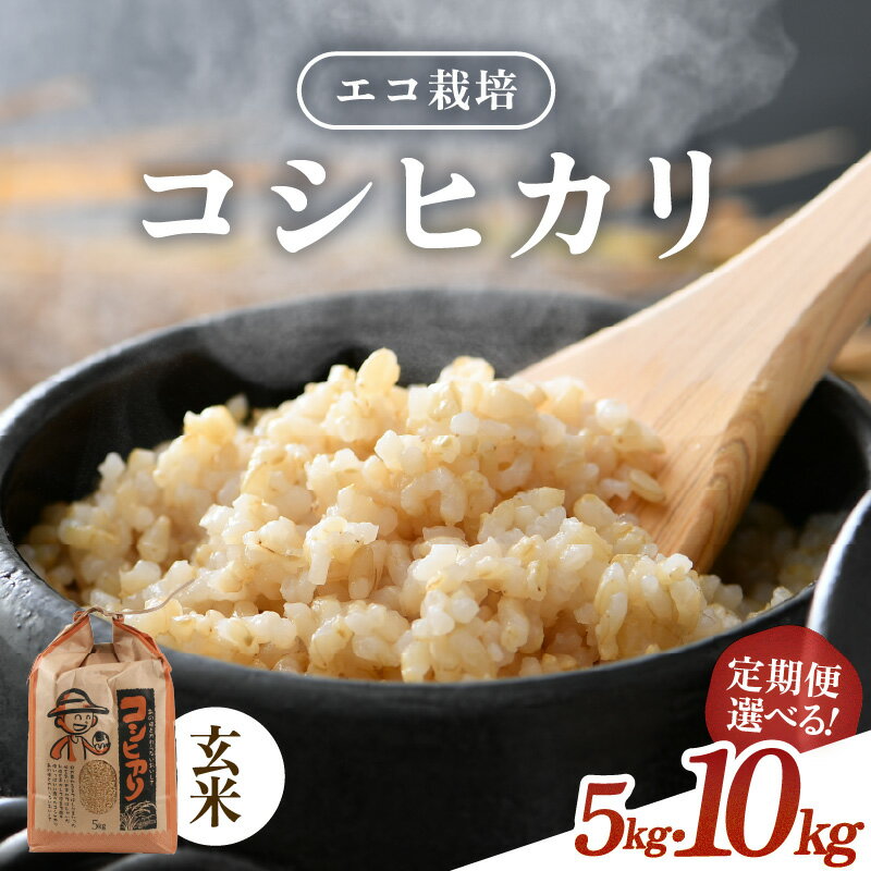 【ふるさと納税】【先行予約】【令和8年産 新米】エコ栽培 コシヒカリ 玄米 5kg 10kg（5kg×2） 定期便 3回 6回 12回 ／ 米 お米 5キロ 10キロ 鮮度抜群 福井県産 こしひかり ご飯 新鮮 玄米 ※2026年10月上旬以降順次発送 - 画像2