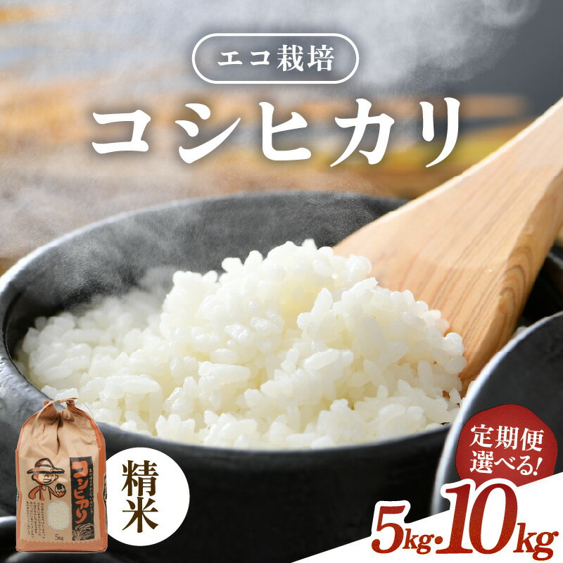【先行予約】【令和8年産 新米】エコ栽培 コシヒカリ 白米 5kg 10kg（5kg×2） 定期便 3回 6回 12回 ／ 米 お米 5キロ 10キロ 鮮度抜群 福井県産 こしひかり ご飯 新鮮 白米 ※2026年10月上旬より順次発送予定