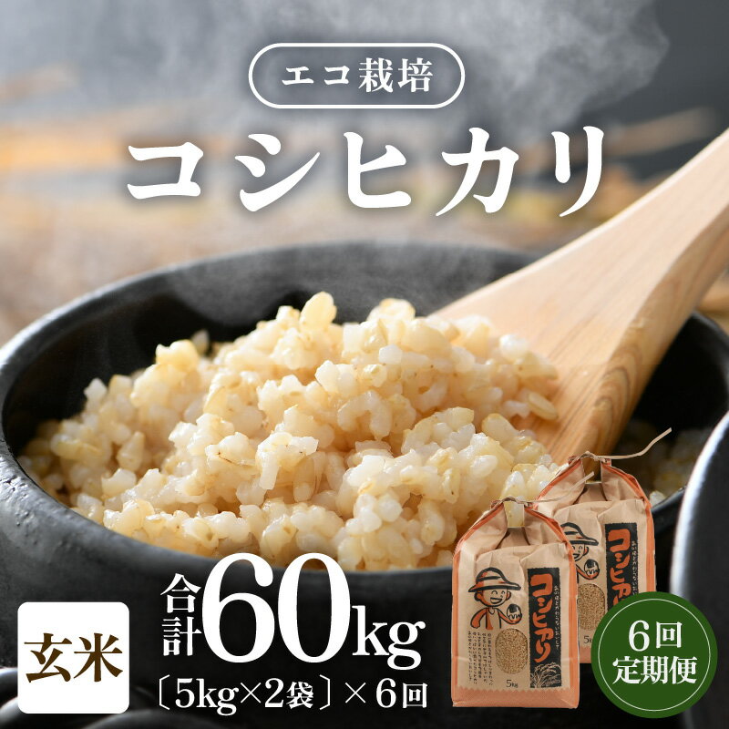 【ふるさと納税】【先行予約】【令和8年産 新米】《定期便6回》エコ栽培コシヒカリ 玄米10kg（5kg×2）計60kg ／ 米 お米 定期便 10キロ 鮮度抜群 福井県産 こしひかり ご飯 新鮮 玄米 ※2026年10月上旬より順次発送予定 - 画像2