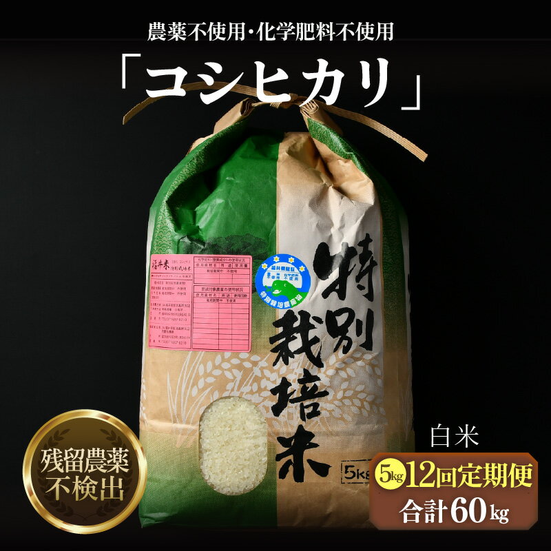 【ふるさと納税】【先行予約】【令和8年産 新米】定期便《12ヶ月連続お届け》コシヒカリ 精米 5kg × 12回（計60kg）特別栽培米 農薬不使用 化学肥料不使用 ／ 米 お米 定期便 5キロ 残留農薬ゼロ 高品質 鮮度抜群 福井県産 ブランド米 白米 ※2026年10月上旬以降順次発送 - 画像2
