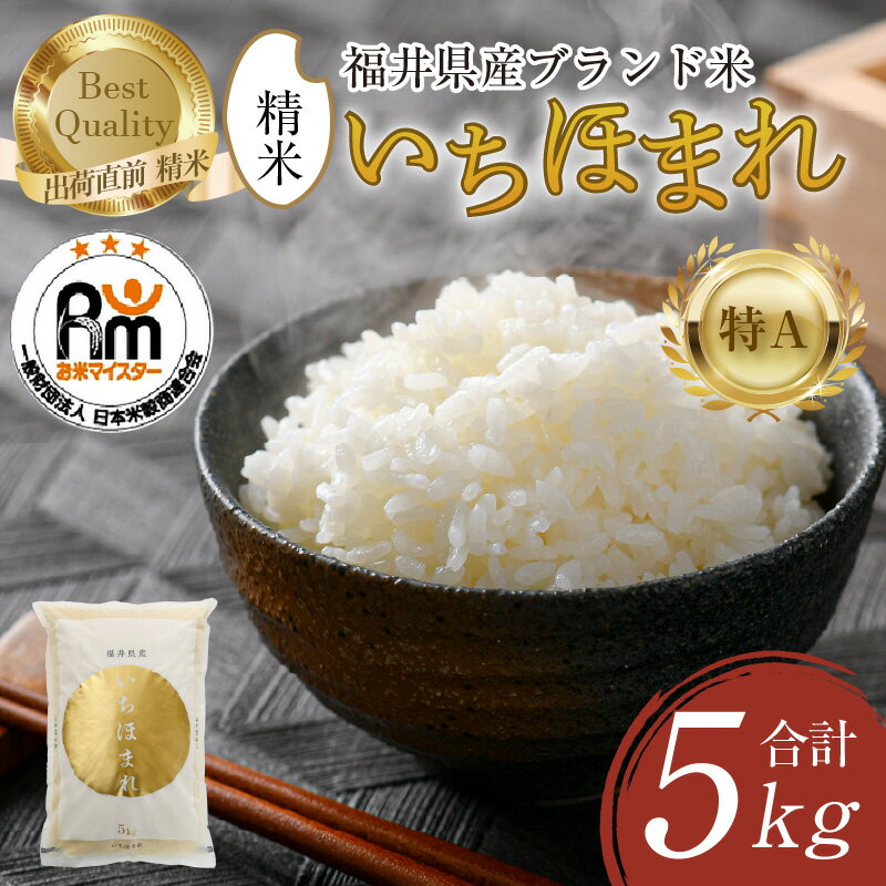 【令和7年産・新米】米 いちほまれ 精米 5kg × 1袋《お米マイスター厳選！発送直前に精米！》 ／ 米 5kg 5キロ 福井県産 ブランド米 ご飯 白米 新鮮 米 おこめ お米