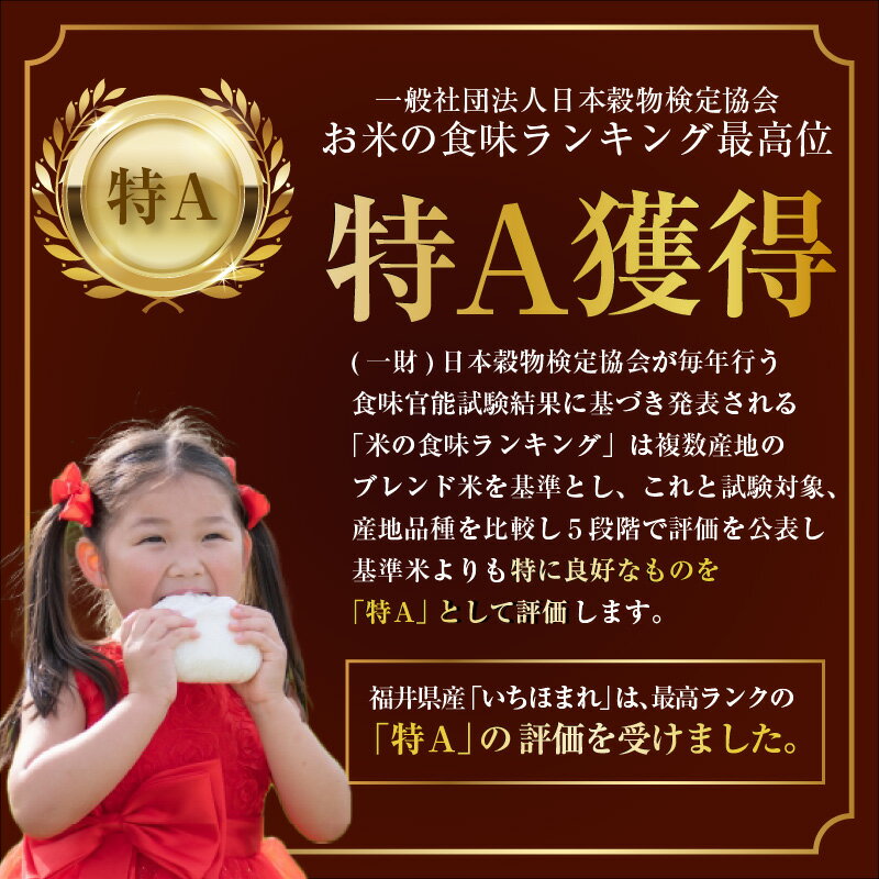 【ふるさと納税】【令和7年産】米 5kg いちほまれ 無洗米 5kg×1袋 ／ お米 5キロ 福井県産 ブランド米 ご飯 白米 新鮮 - 画像3