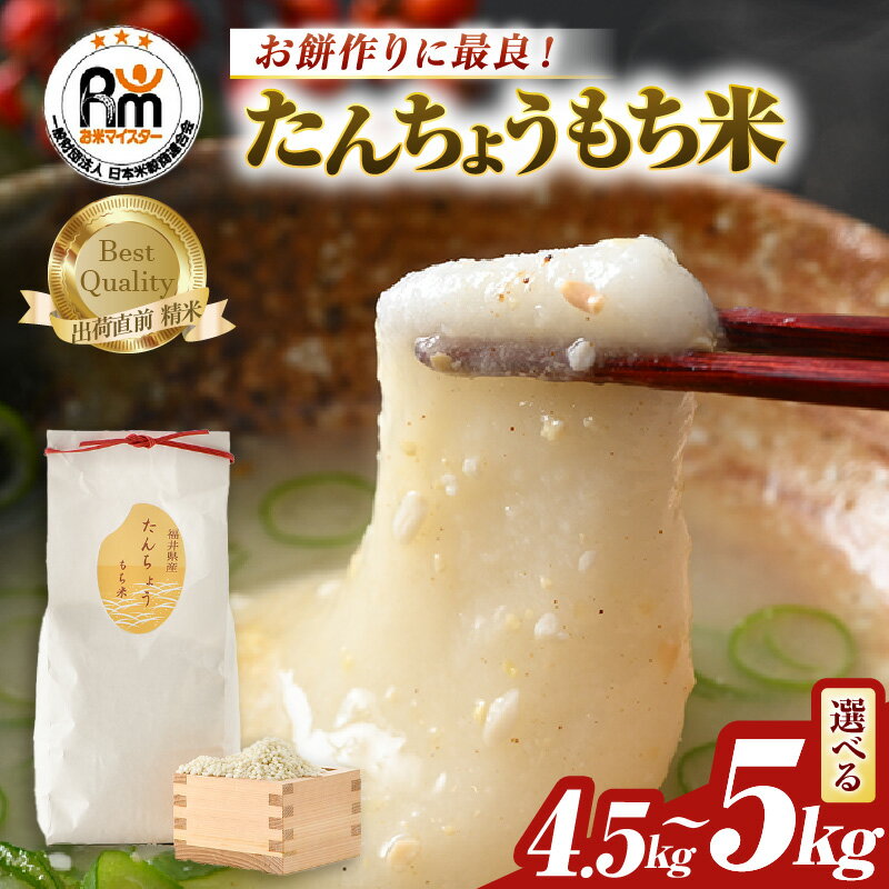【令和7年産】たんちょうもち米 【選べる容量：1.5kg×3袋（計4.5kg） / 5kg×1袋 】精米 ≪希少！お餅作りに最良≫ ／ 米 お米 もち米 こめ 餅 タンチョウ 餅つき 丸餅 柏餅