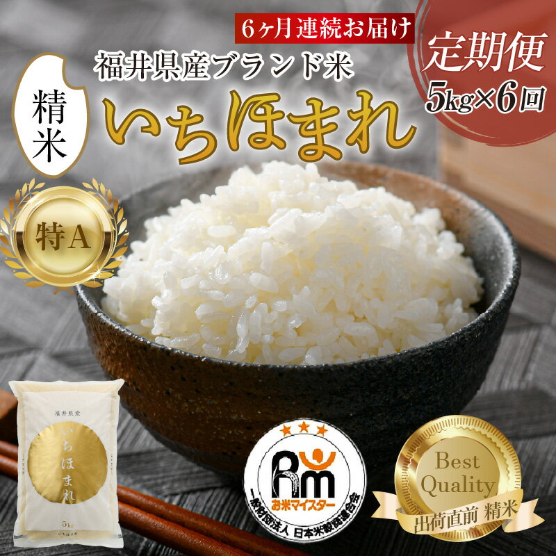 【ふるさと納税】【令和7年産】定期便6回 いちほまれ 精米 5kg × 6回（計30kg）《お米マイスター厳選！発送直前に精米！》 ／ 米 お米 定期便 福井県産 ブランド米 ご飯 白米 新鮮 - 画像2