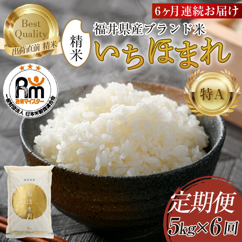 【令和7年産】定期便6回 いちほまれ 精米 5kg × 6回（計30kg）《お米マイスター厳選！発送直前に精米！》 ／ 米 お米 定期便 福井県産 ブランド米 ご飯 白米 新鮮