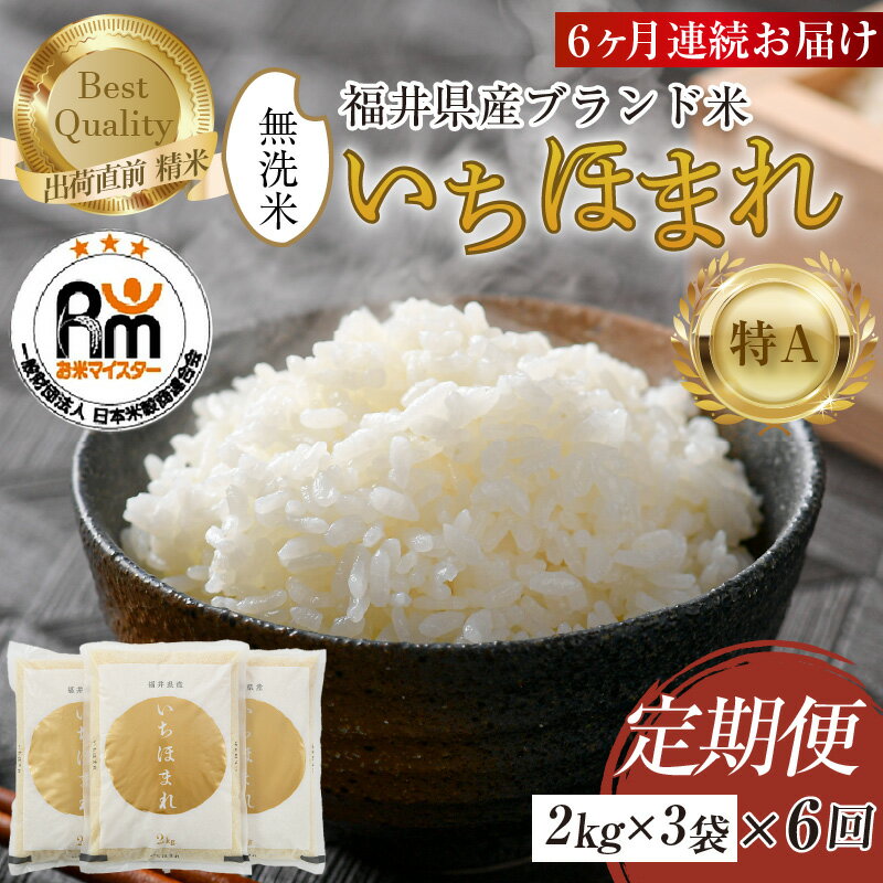 【令和7年産】定期便6回 いちほまれ 無洗米 2kg × 3袋 × 6回（計36kg）《お米マイスター厳選！》／ 米 お米 定期便 福井県産 ブランド米 ご飯 白米 新鮮