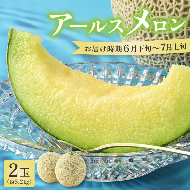 【先行予約】アールスメロン 2玉（約1.6kg以上×2玉）青肉品種 高級メロン！ ／ マスクメロン 大玉 果物 フルーツ 夏 ギフト 農家直送 ※2026年6月下旬以降発送