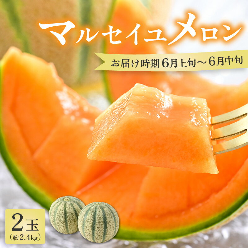 【先行予約】マルセイユメロン 2玉 約2.4kg（約1.2kg以上×2玉）大人気の赤肉品種！高級メロンの味わい ／ 果物 フルーツ ギフト 農家直送 ※2026年6月上旬以降順次発送