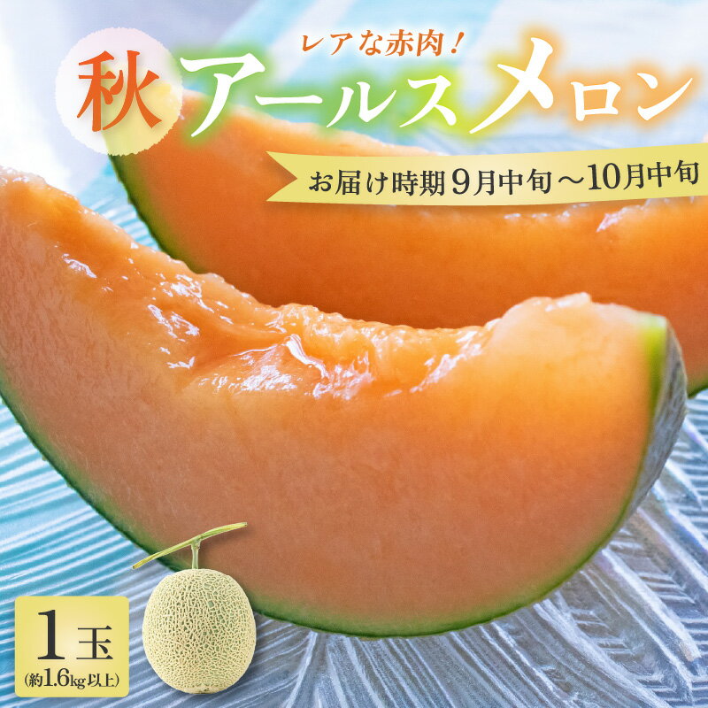 【ふるさと納税】【先行予約】【赤肉】秋 アールスメロン 1玉（約1.6kg以上）青肉品種 高級メロン！ ／ マスクメロン 大玉 果物 フルーツ ギフト 農家直送 ※2026年9月中旬以降発送 サムネイル2