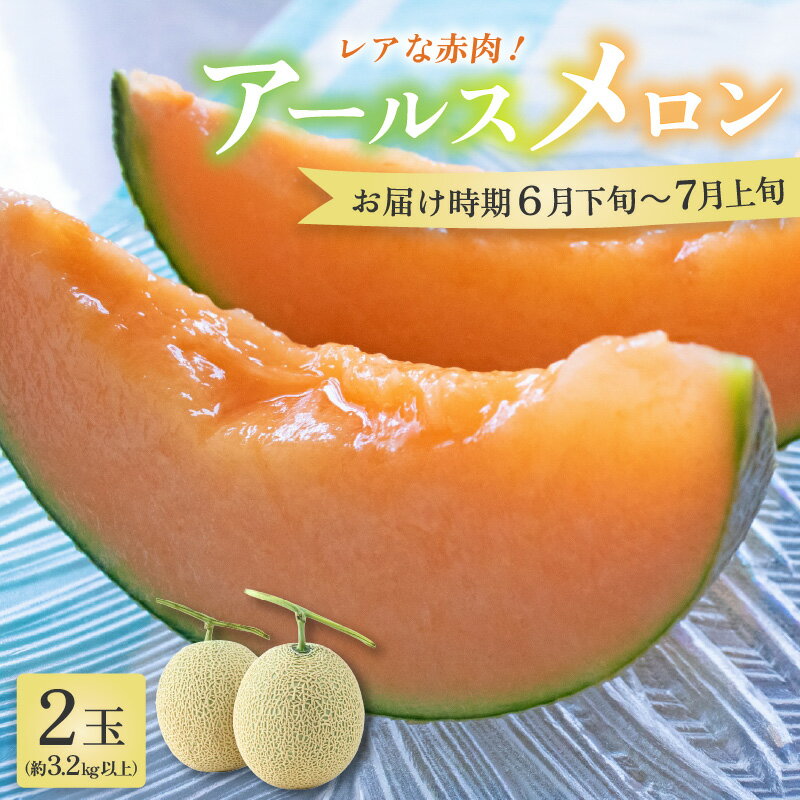 【先行予約】アールスメロン 2玉（約3.2kg以上）赤肉品種 高級メロン！ ／ マスクメロン 大玉 果物 フルーツ 夏 ギフト 農家直送 ※2026年6月下旬以降順次発送