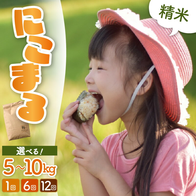 【ふるさと納税】【令和7年産】にこまる 精米 定期便【選べる容量：5kg / 10kg（5kg×2袋）】【選べる回数：1回 / 6回 / 12回 】 ＜食味値85点以上！低農薬栽培＞／ 5キロ 10キロ 高品質 鮮度抜群 福井県 あわら産 白米 お米 米 - 画像2