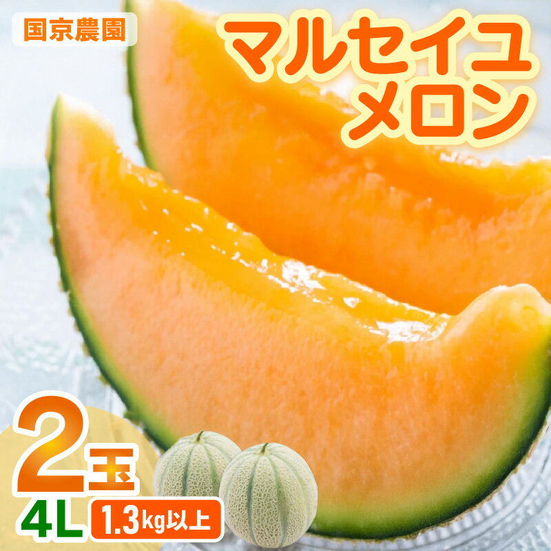 【先行予約】マルセイユメロン 2玉入 4L（1.3kg以上×2玉）高糖度で抜群に美味しい赤肉メロン ／ 果物 フルーツ 産地直送 ※2026年6月上旬以降発送