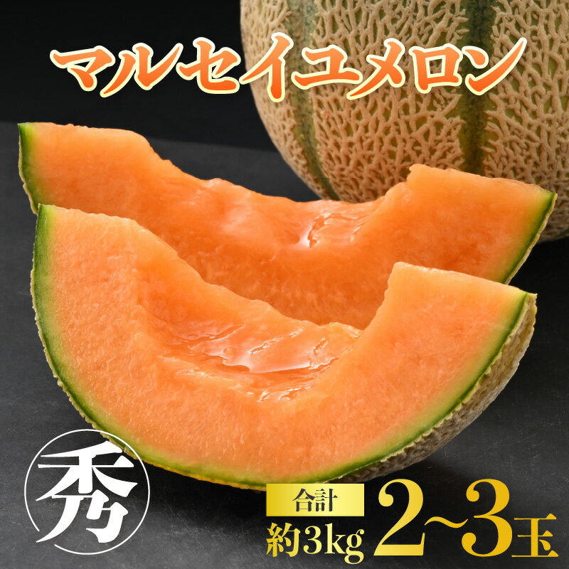 【ふるさと納税】【先行予約】 佐藤農園のマルセイユメロン 約3kg前後《秀品》(2～3玉入）深みのある甘さ とろける濃厚な赤肉！農家直送 有機肥料 低農薬 糖度 ※2026年6月上旬より順次発送予定 サムネイル2