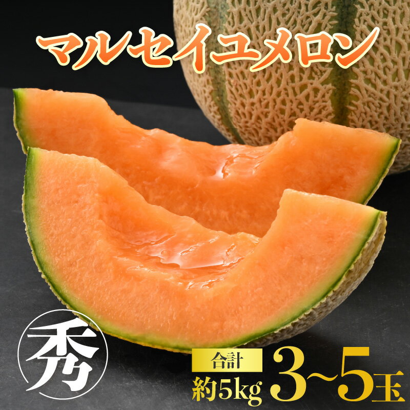 【ふるさと納税】【先行予約】佐藤農園のマルセイユメロン 約5kg 秀品（3～5玉入）深みのある甘さ とろける濃厚な赤肉！農家直送 糖度 有機肥料 低農薬 ※2026年6月上旬より順次発送予定 サムネイル2