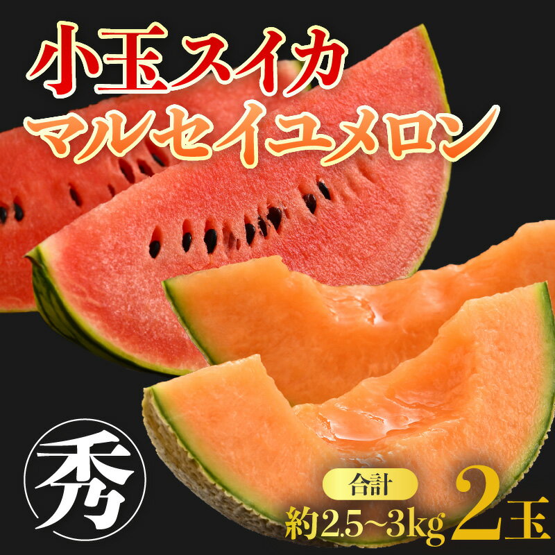 【ふるさと納税】【先行予約】小玉スイカ マルセイユメロン セット 計2玉入（約2.5kg～3kg）秀品 ／ 期間限定 数量限定 果物 フルーツ 夏 人気 西瓜 産地直送 有機肥料 低農薬 ※2026年6月上旬より順次発送 サムネイル2