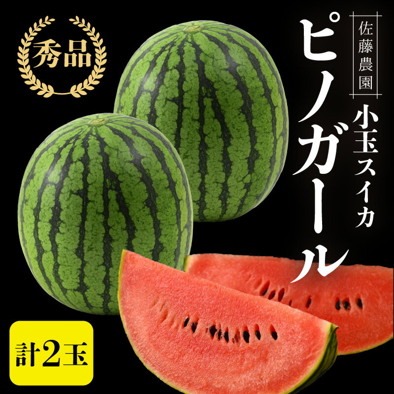 【ふるさと納税】【先行予約】佐藤農園の小玉スイカ ピノガール 2玉（計3kg以上）／福井県 あわら市 フルーツ 夏 果物 西瓜 秀品 農家直送 有機肥料 低農薬 佐藤農園※2026年6月上旬より順次発送予定 サムネイル2