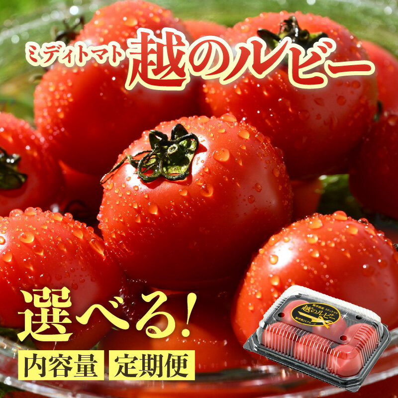 【ふるさと納税】【先行予約】ミディトマト 越のルビー パック入 1kg（4パック＋品質補償1パック） / 2kg（8パック＋品質補償2パック） 福井県産ブランドトマト 農家直送 有機肥料 低農薬 ※2026年9月中旬～11月発送 選べるサイズ - 画像2