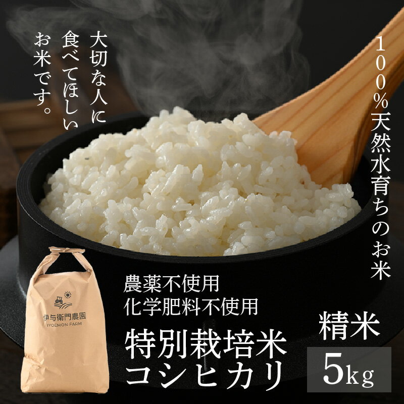 【ふるさと納税】【先行予約】【令和8年産 新米】コシヒカリ 精米 5kg 特別栽培米 無農薬 化学肥料不使用 / 伊与衛門農園の特別栽培米 高品質 鮮度抜群 福井県 あわら市産 ブランド米 R8 北陸 白米 お米 ご飯 ※2026年9月下旬より順次発送予定 - 画像2