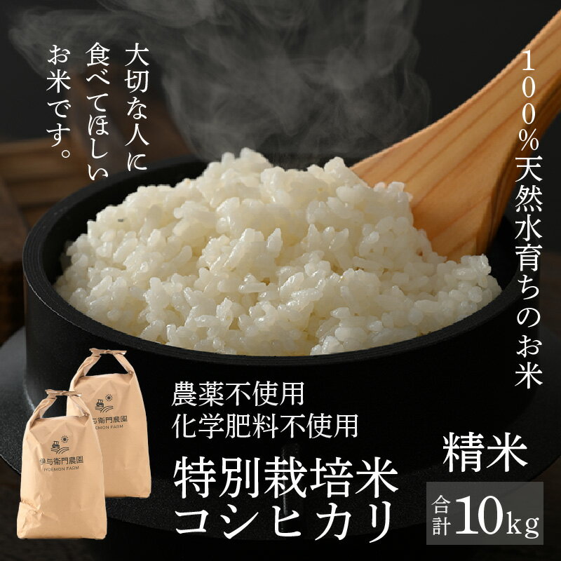 【先行予約】【令和8年産 新米】コシヒカリ 精米 10kg 特別栽培米 5kg×2袋 化学肥料不使用 / 伊与衛門農園の特別栽培米 高品質 鮮度抜群 福井県 あわら市産 ブランド米 R8 北陸 白米 お米 ご飯 ※2026年9月下旬より順次発送予定