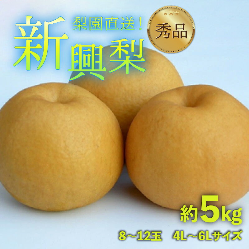 【先行予約】上野梨園の新興梨 8～12玉入 約5kg 4L～6L【秀品】《数量限定》梨園直送！ / 期間限定 果物 フルーツ 農家直送 シャキシャキ もぎたて 旬 お取り寄せ ※2026年10月上旬より順次発送