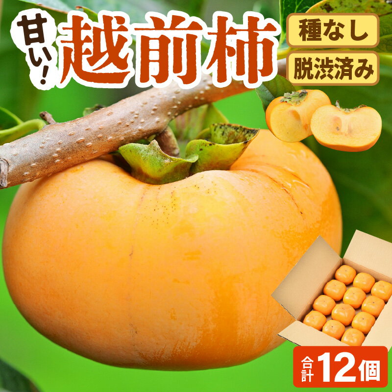 【ふるさと納税】【先行予約】【種なし】 甘い！越前柿12個入り 脱渋済み 本場柿原郷で収穫 / かき フルーツ 福井県 あわら市 甘い 大きい柿 秋 旬 平核無柿 刀根早生柿 甘柿 シャキシャキ たねなし 果物 食物繊維 ビタミンC ※2025年10月下旬以降順次発送予定 サムネイル2