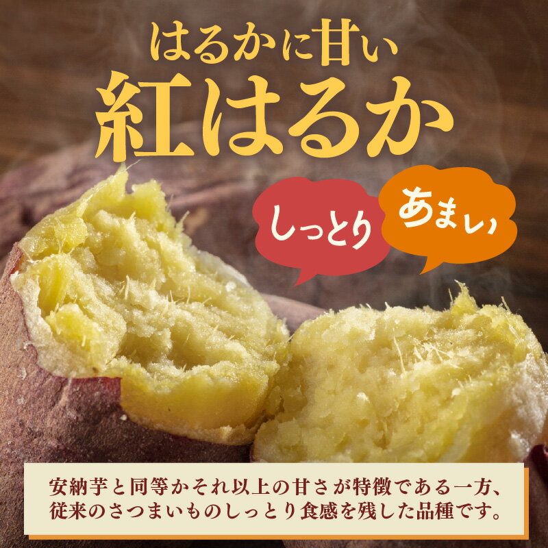【ふるさと納税】あわら市波松産 紅はるか 3kg / 厳選 不揃い さつまいも 土付き 熟成 焼き芋 福井県 薩摩芋 密芋 スイートポテト しっとり ほっくり 自然のスイーツ 極甘 農研機構許諾済 メディアで人気 腸活 - 画像3