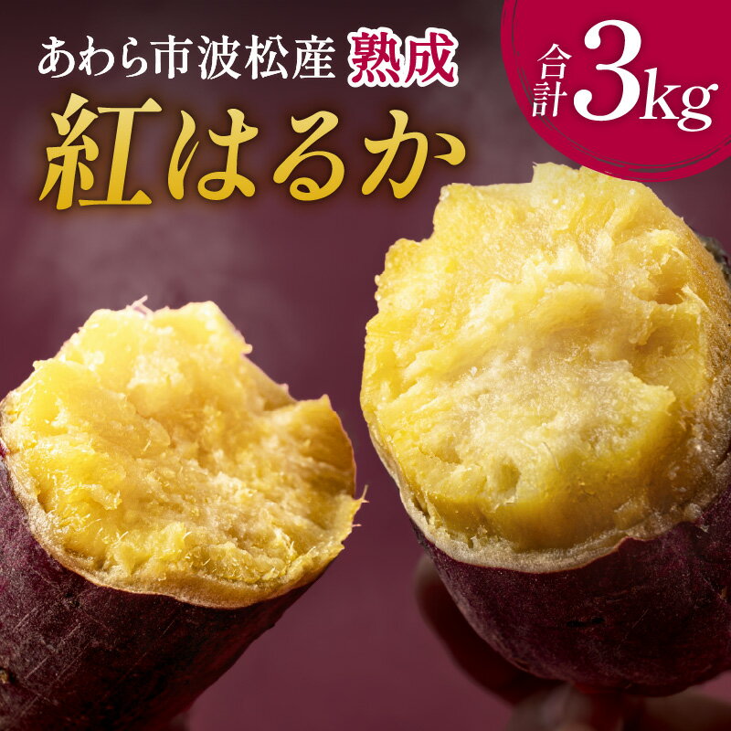 あわら市波松産 紅はるか 3kg / 厳選 不揃い さつまいも 土付き 熟成 焼き芋 福井県 薩摩芋 密芋 スイートポテト しっとり ほっくり 自然のスイーツ 極甘 農研機構許諾済 メディアで人気 腸活
