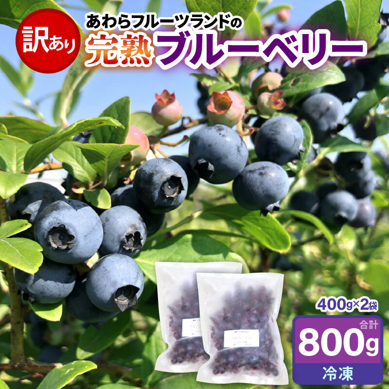 【ふるさと納税】【先行予約】【訳あり】【冷凍】あわらフルーツランドのブルーベリー たっぷり 800g 便利な400g×2袋 【完熟】 / フルーツ 果物 くだもの 冷凍 小分け 完熟 ご当地 国産 おすすめ ※2026年8月上旬より順次発送 サムネイル2