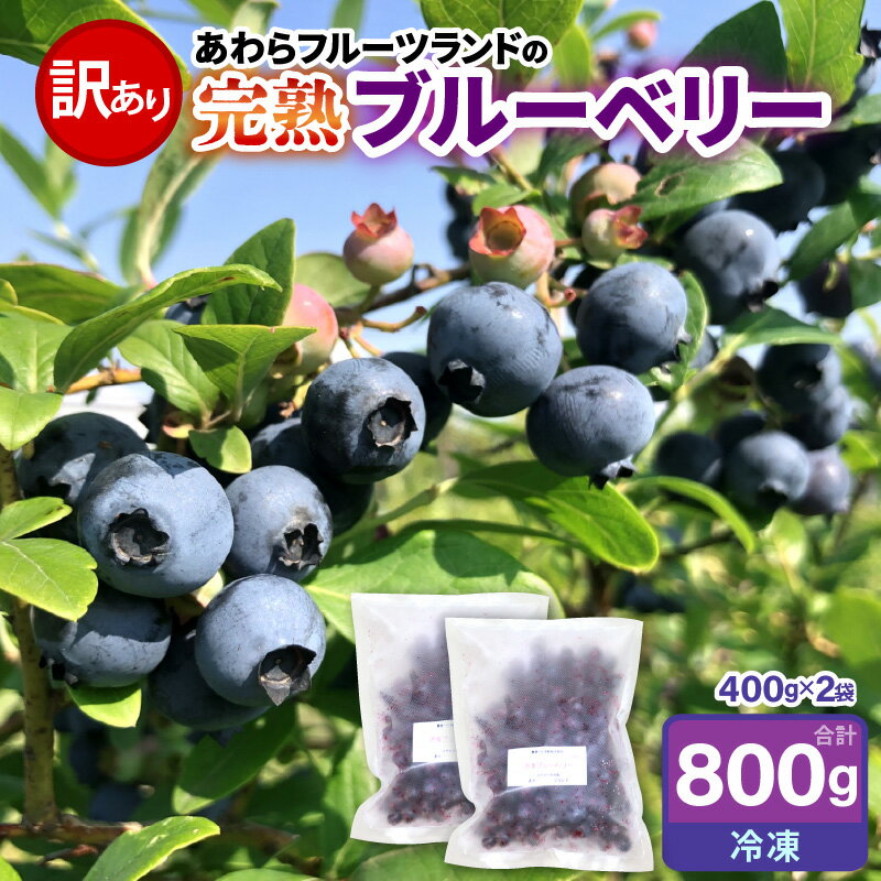 【先行予約】【訳あり】【冷凍】あわらフルーツランドのブルーベリー たっぷり 800g 便利な400g×2袋 【完熟】 / フルーツ 果物 くだもの 冷凍 小分け 完熟 ご当地 国産 おすすめ ※2026年8月上旬より順次発送