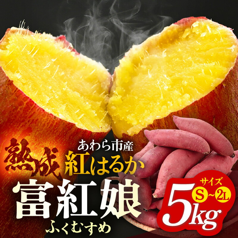 【ふるさと納税】さつまいも 富紅娘（ふくむすめ）S~2Lサイズ 5kg / 紅はるか べにはるか さつま芋 国産 芋 産地直送 熟成 サツマイモ - 画像2
