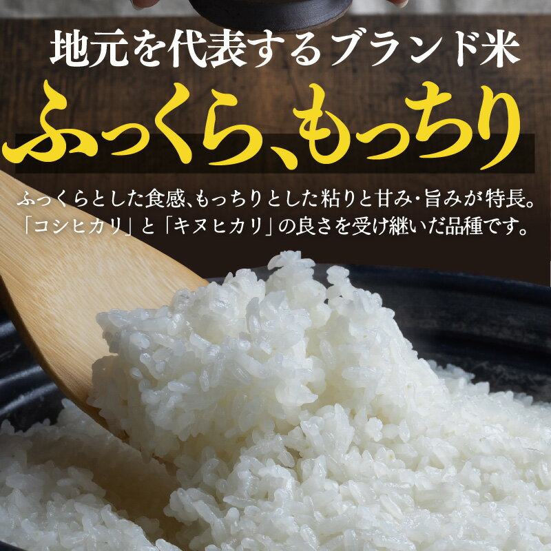 【ふるさと納税】令和7年産 あきさかり 無洗米 10kg × 1袋 【選べる回数：1回 / 3回 / 6回 / 12回】 ／ 10キロ 米 定期便 こめ コメ kome お米 福井県産 ブランド米 あきさかり ご飯 白米 新鮮 高品質米 令和7年 送料無料 - 画像3