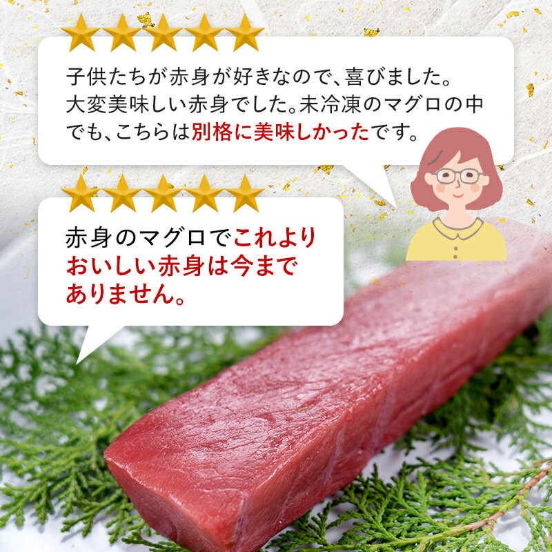 【ふるさと納税】【冷蔵・指定日着可】国産 生本マグロ 赤身 200g～700g（柵どり/ 送料 無料 福井県 越前市 鮪 未冷凍 生まぐろ 生マグロ 本鮪 新鮮 お刺身 おさしみ お造り 切り身 切身 海鮮 海鮮丼 まぐろ丼 発送時期が選べる (18209） サムネイル3