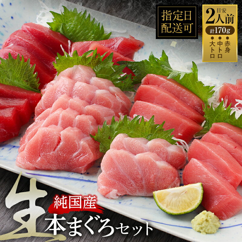 国産の本マグロを『生』のまま直送！大トロ・中トロ・赤身を合計約170g(約50g/約50g/約70g)でお届け【指定日着可】（18209）発送時期が選べる 1月・2月は順次配送