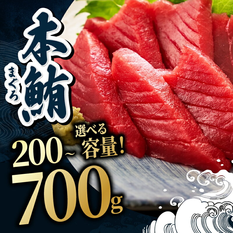 【ふるさと納税】【冷蔵・指定日着可】国産 生本マグロ 赤身 200g〜700g（柵どり/ 送料 無料 福井県 越前市 鮪 冷蔵 未冷凍 生まぐろ 生マグロ 本鮪 新鮮 お刺身 おさしみ お造り 切り身 切身 海鮮 海鮮丼 まぐろ丼 発送時期が選べる (18209） - 画像2